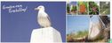 Groeten van Terschelling! - Image 1