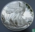 Vereinigte Staaten 1 Dollar 1999 (PP) "Silver eagle" - Bild 1