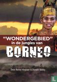 "Wondergebied" in de jungles van Borneo - Afbeelding 1