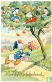 Donald Duck: Kwik Kwek en Kwak gooien appels. - Image 1