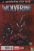Wolverine 11 - Bild 1
