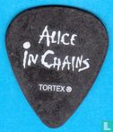 Alice in Chains, Jerry Cantrell Plectrum, Guitar Pick, 2006 - Image 1