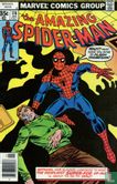 The Amazing Spider-Man 176 - Image 1