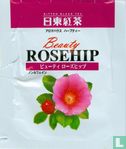 Beauty Rosehip - Image 1
