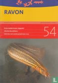 Ravon 54 - Image 1