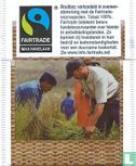 Rooibos  - Image 2
