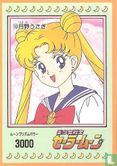 Sailor Moon - Bild 1