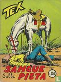 Sangue sulla pista