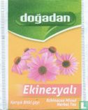 Ekinezyali