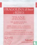 Fragola di bosco e Ribes - Afbeelding 2