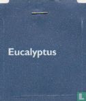 Eucalyptus - Afbeelding 3