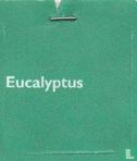 Eucalyptus - Afbeelding 3