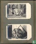 Korff's Briefkaarten Album - Image 3