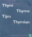 Thym - Bild 3