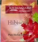 Hibiscus  - Bild 1