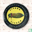 Cicada Cicada - Bild 1