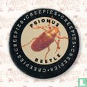 Prionus Beetle - Bild 1