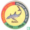 Rekin - Image 1
