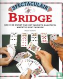 Spectaculair Bridge