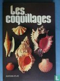 Les coquillages - Afbeelding 1