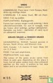 Grass snake