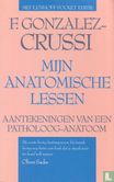 Mijn anatomische lessen