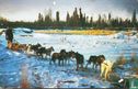 Alaskan Dog Team Sleehonden   - Afbeelding 1