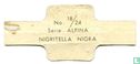 Nigritella nigra - Afbeelding 2