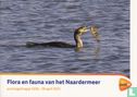 Flora en fauna van het Naardermeer  - Afbeelding 1