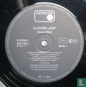 Clover Elixir - Bild 3