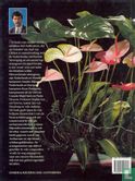 Creatief bloemschikken met Anthurium - Image 2