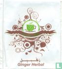 Ginger Herbal - Bild 1