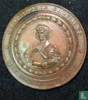 USA  Christopher Columbus Bronze  1892 - 1893  - Afbeelding 2