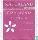 Tözegáfonya & Echinacea - Image 1