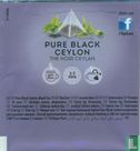 Pure Black Ceylon