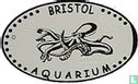 GB Bristol Aquarium - Squid - Bild 2