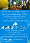 Aquarium of Brussels - Bild 2