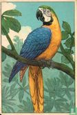 Ara rauna papegaai / Perroquet ara rauna - Afbeelding 1
