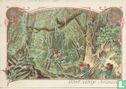 Forêt vierge (Amérique) - Image 1