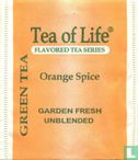 Green Tea Orange Spice - Bild 1