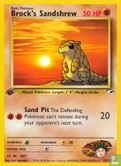 Brock's Sandshrew - Afbeelding 1