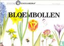 Bloembollen