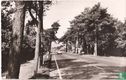 Ermelo, Putterweg - Afbeelding 1