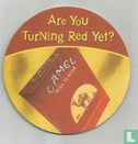 Are you turning red yet? - Afbeelding 1