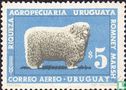 Mouton   - Image 1