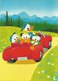 Donald Duck met Kwik, Kwek en Kwak in de auto - Afbeelding 1