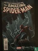 The Amazing Spider-Man 700.4  - Image 1