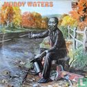 Muddy Waters - Image 1