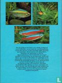Het groot aquariumboek - Afbeelding 2