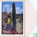 American Indian Life Souvenir Folder - Image 3